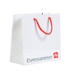 Printed Paper E Commerce Bags Packaging Twist Handle Matt Lamination