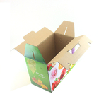 Custom Folded Corrugated Cardboard 1-2-3 Bottom Carrier Boxes Printing