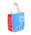 Durable Non Woven Shopping Bag Laminated Various Color Trade Show Packaging